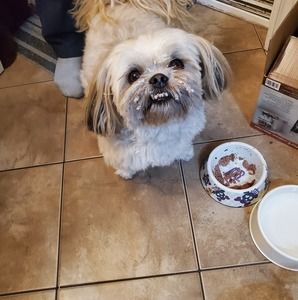 Meet your Posher, Dianna